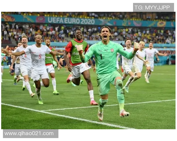 2016年法国欧洲杯精彩回顾与央视网独家报道分析