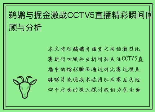 鹈鹕与掘金激战CCTV5直播精彩瞬间回顾与分析